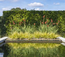 Foto van een recent zwemvijverproject van Poels